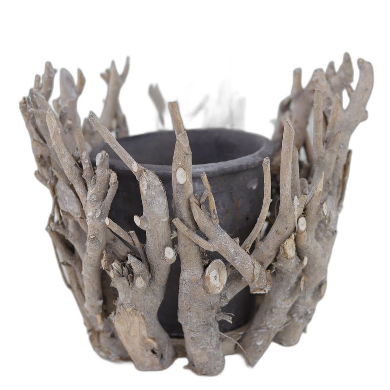 pot branches