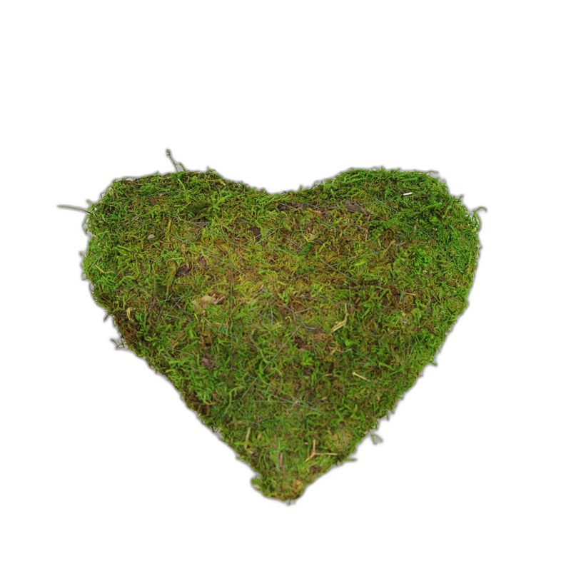 deco coeur brindille/mousse