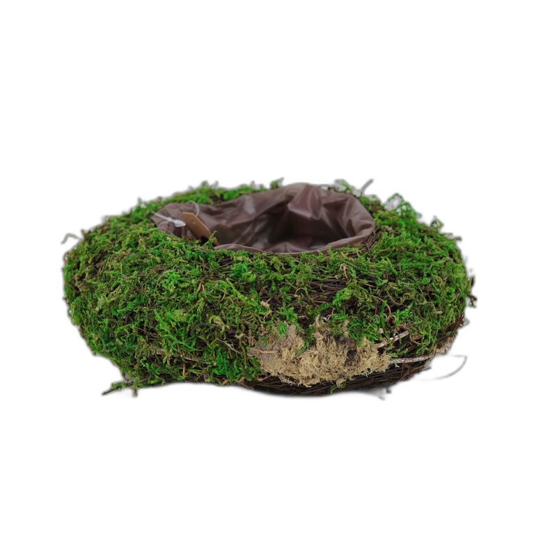 planter kroon twijg/mos