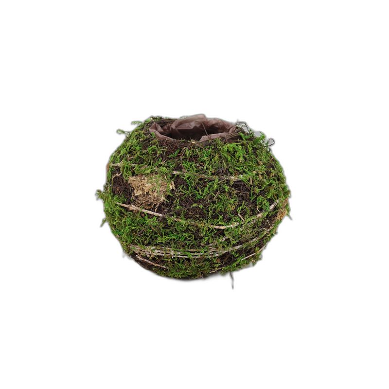 planter bol twijg/mos