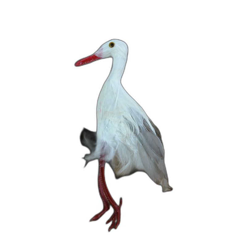 oiseaux deco cigogne