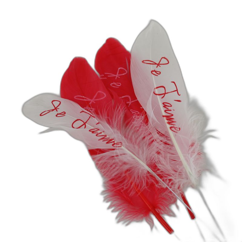 veer "je 't aime" 40pcs