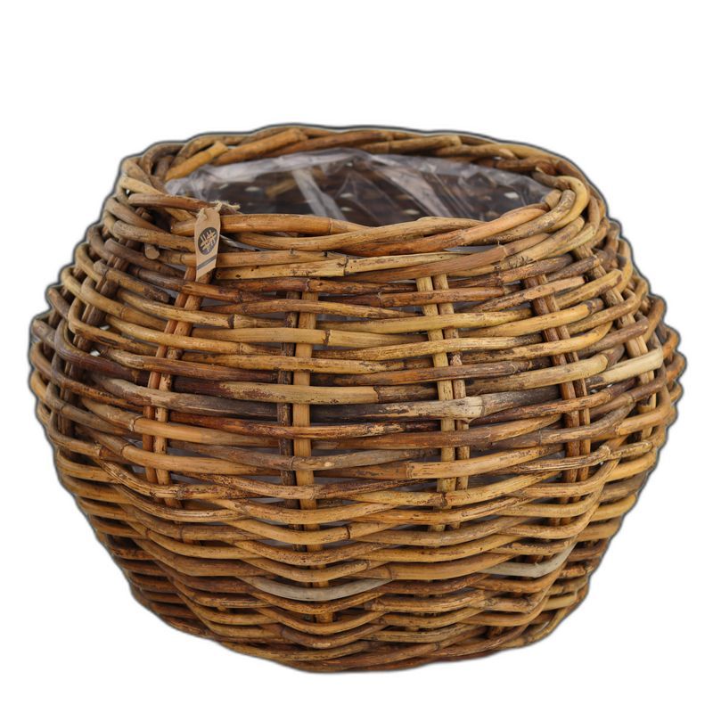 CL rotan bol Kolos