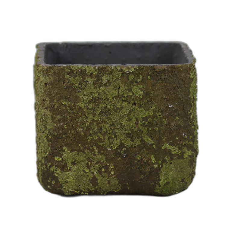 Textured Moss pot rechthoekig S