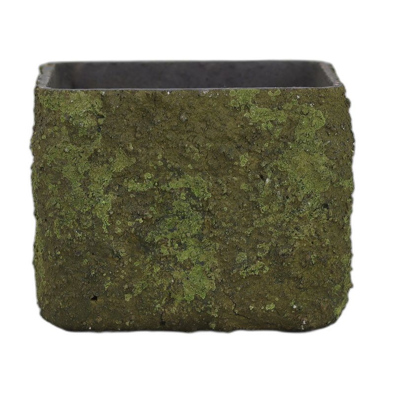 Textured Moss pot rechthoekig M