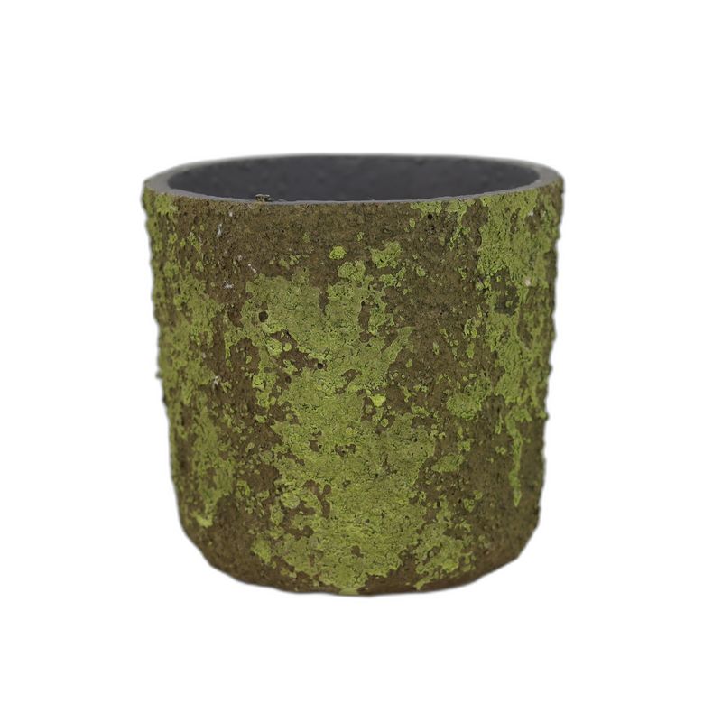 Textured Moss pot rond Ø12 orchid