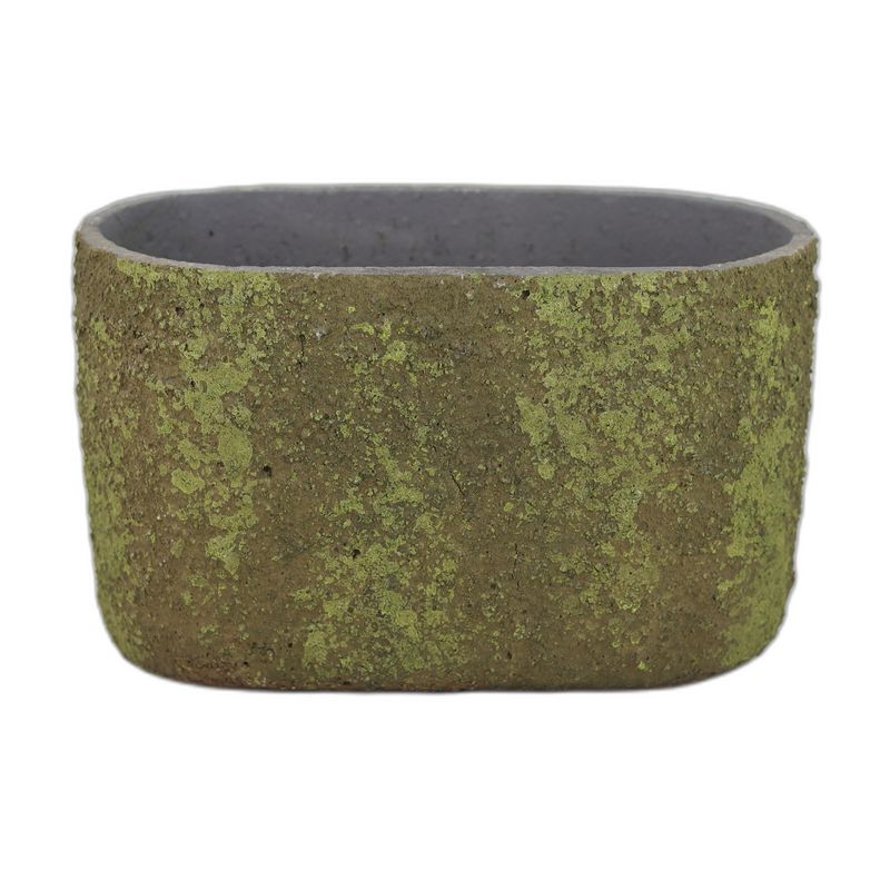 Textured Moss ovaal hoog orchid