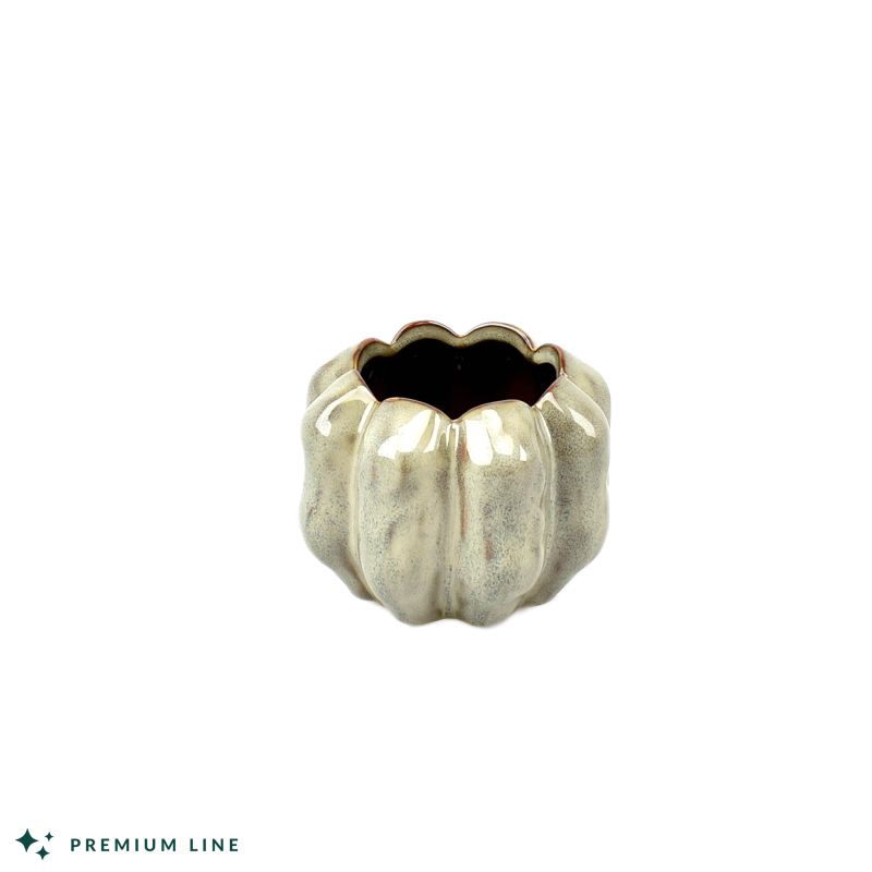 Smokey-White Pot 'Pumpkin' D12