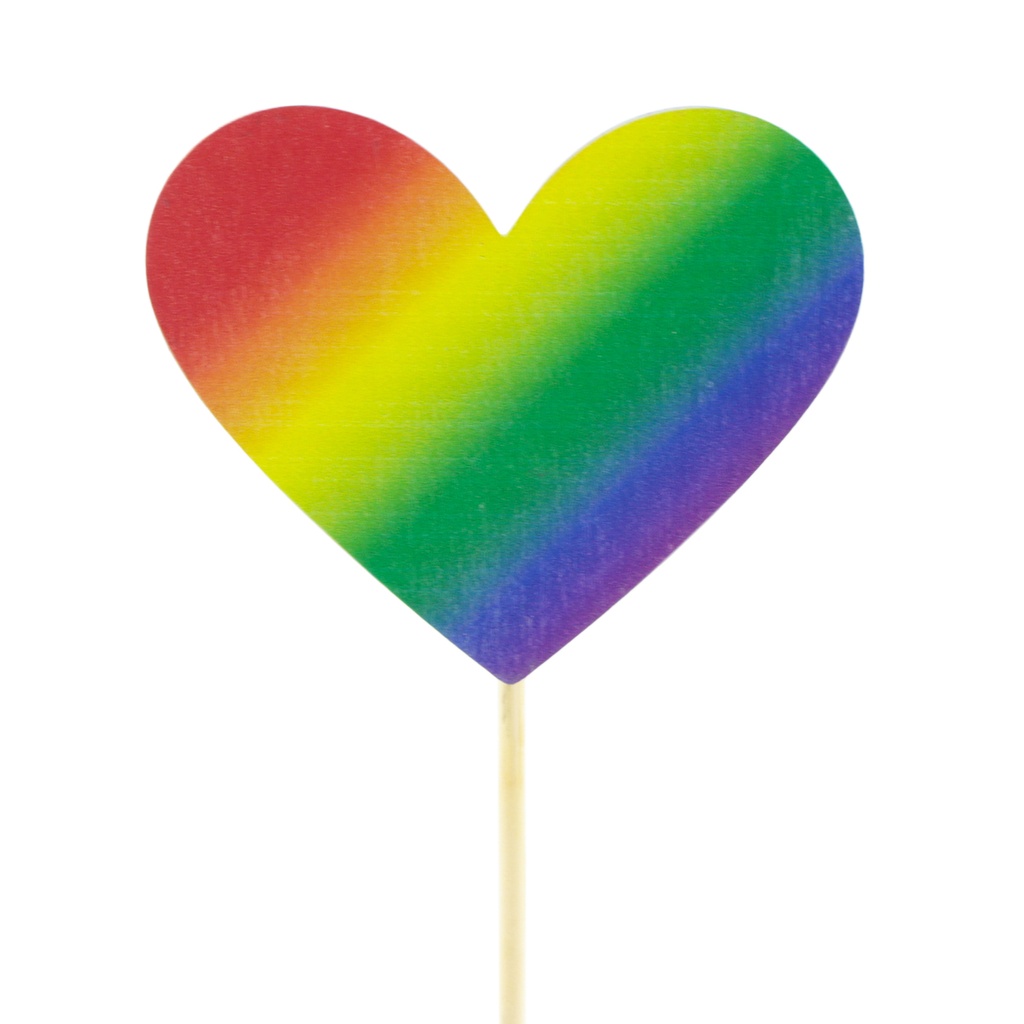 Hart Love&Pride 6cm op 50cm stok FSC