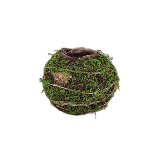 [372206] planter bol twijg/mos