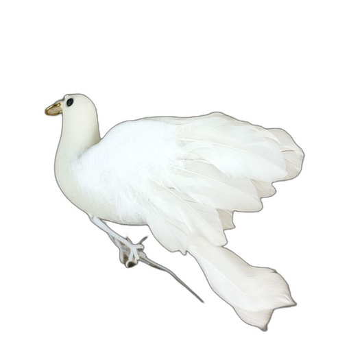 [P-7R] vogels deco duif
